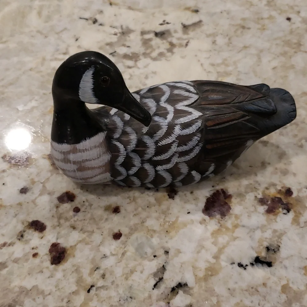 Duck - Picture 1 of 4